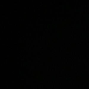 Meet your Posher, Layla